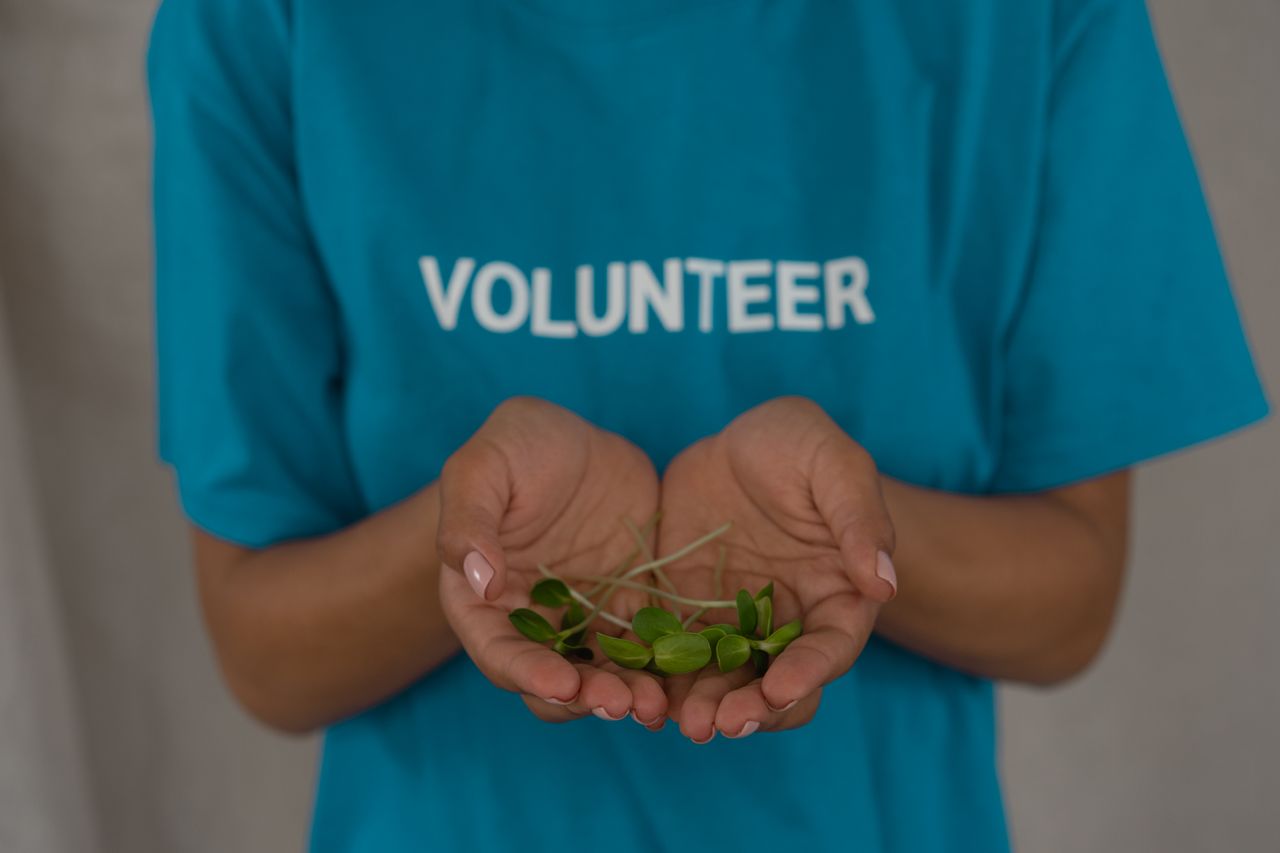 Volunteer holding seedlings in cupped hands